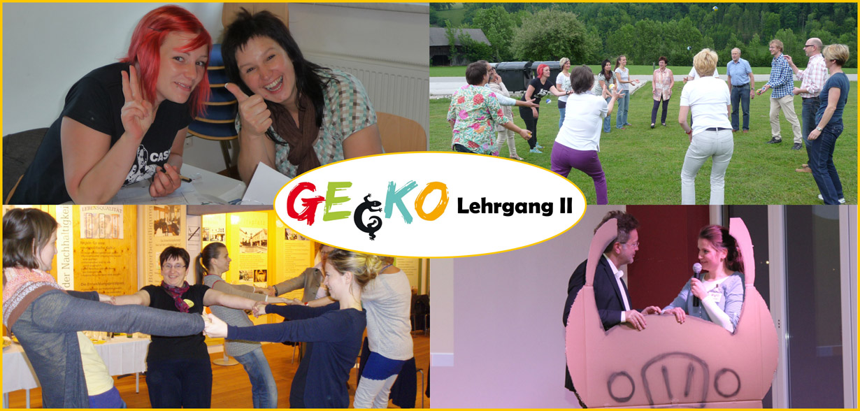 Gecko-Lehrgang