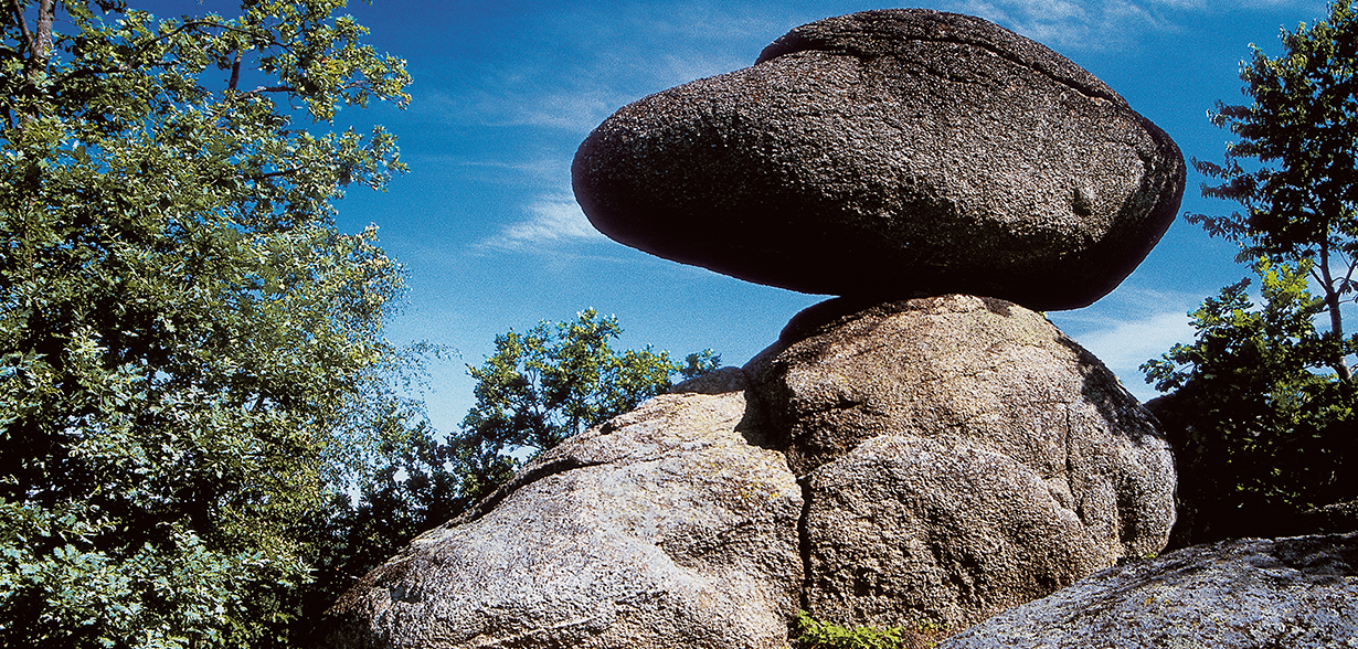 Schwammerling-Steine_OÖ Tourismus-Kapfer