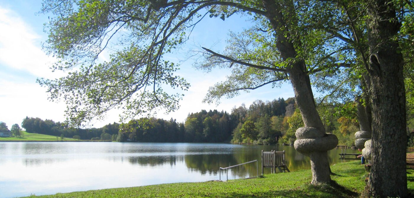 knotenbaeume_heratingersee_Fotokredit Seelenium Maria Wimmer_www