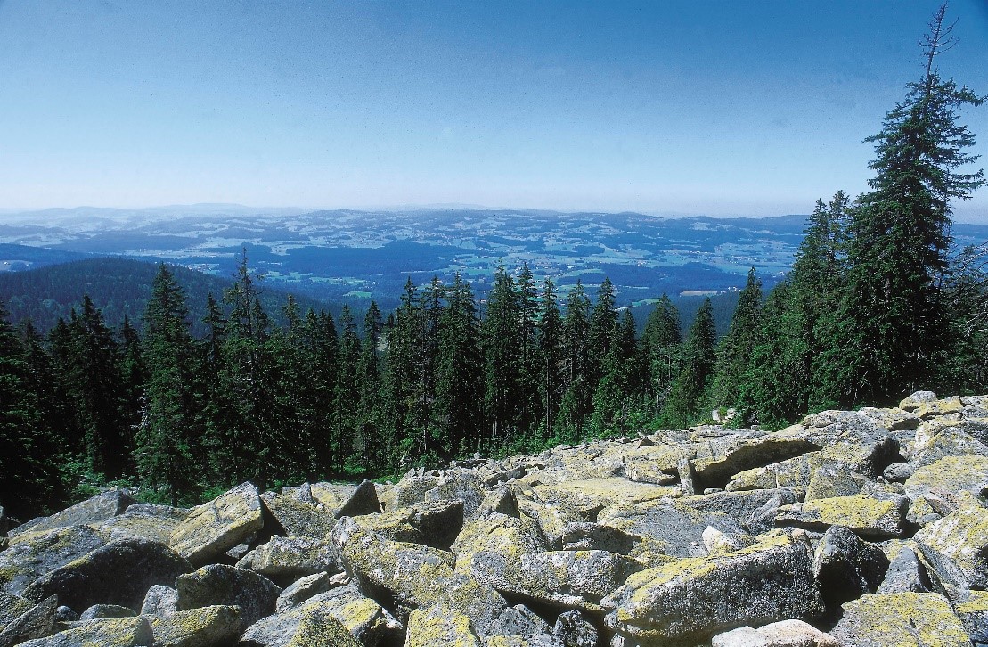 c_steinernes_meer_im_boehmerwald_ooe