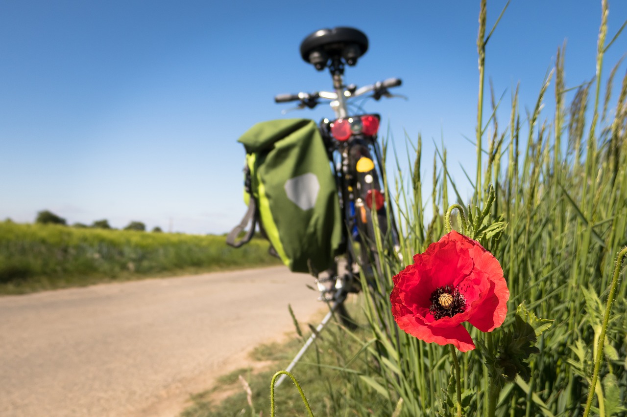 radfahren_mohnblume_pixabay_3x2