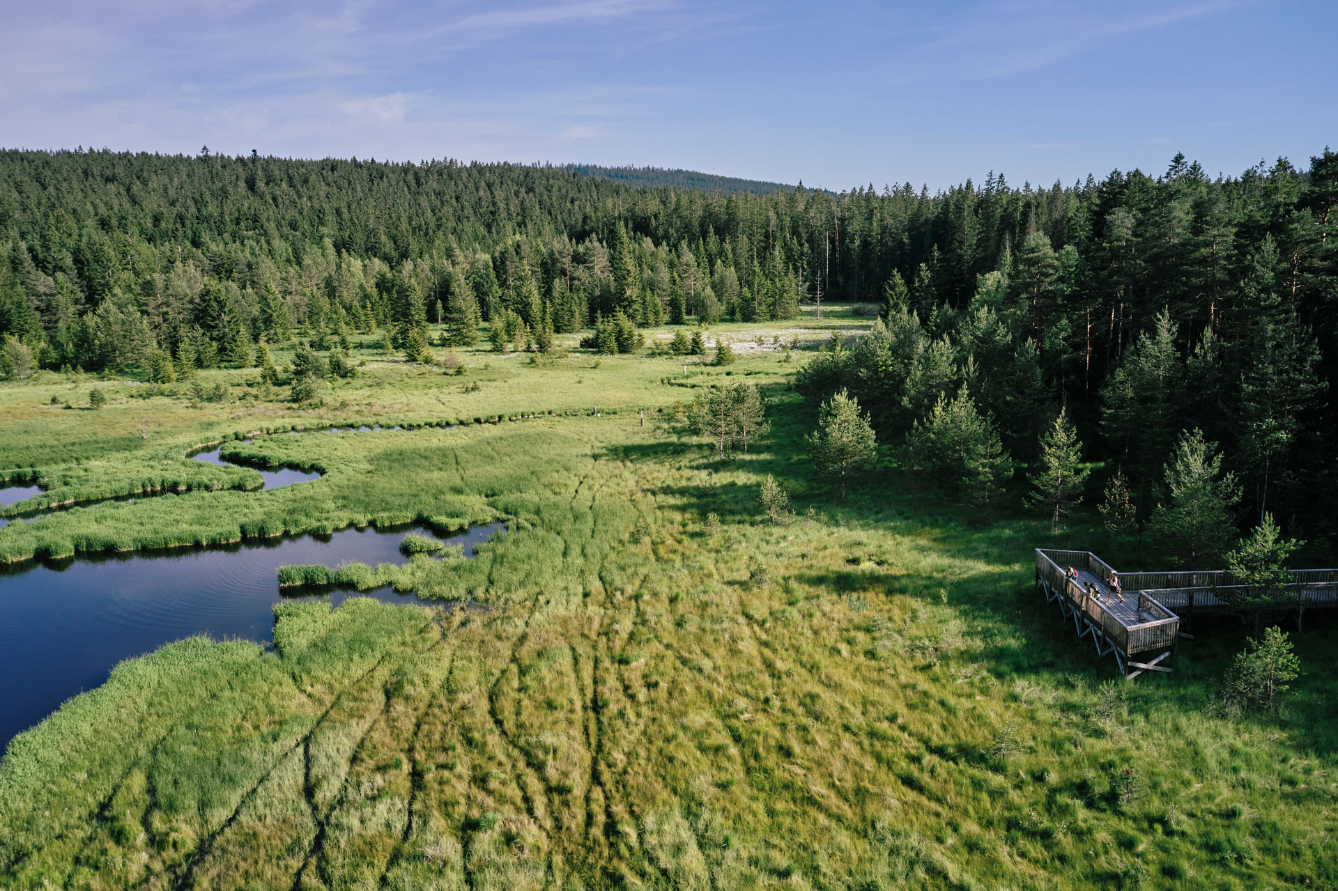 Boehmerwald Wandern Hochmoor