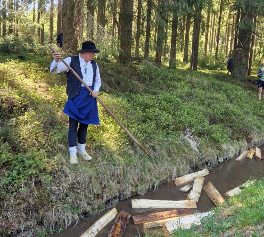 Person steht am Waldrand an einem Bach und steuert mit langem Stock Holzstücke im Wasser; im Hintergrund dichter Nadelwald.